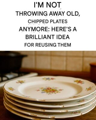 How to reuse old dishes: the original idea