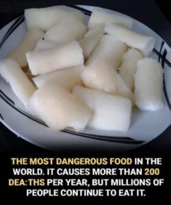 World’s Deadliest Food