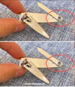 Nail clippers, the secret option that makes your life easier: almost no one notices them.