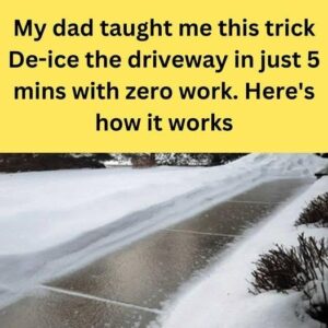 How to Safely De-Ice Your Walkways This Winter—Without Damaging Concrete or Harming Pets