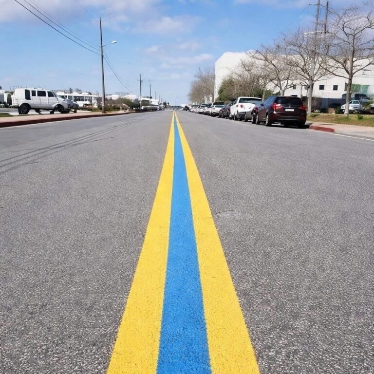 Noticed a Blue Line on the Road? Here is What It Signifies! – Story Of The Day!