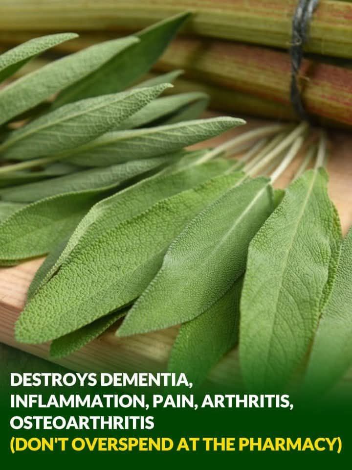 Cinnamon and Honey: The Most Powerful Natural Remedy Even Doctors Struggle to Explain