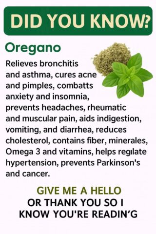 The Small Plant with Big Health Benefits