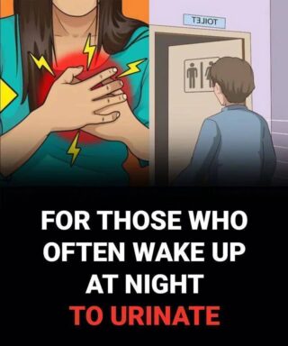For Those Who Often Wake Up at Night to Urinate