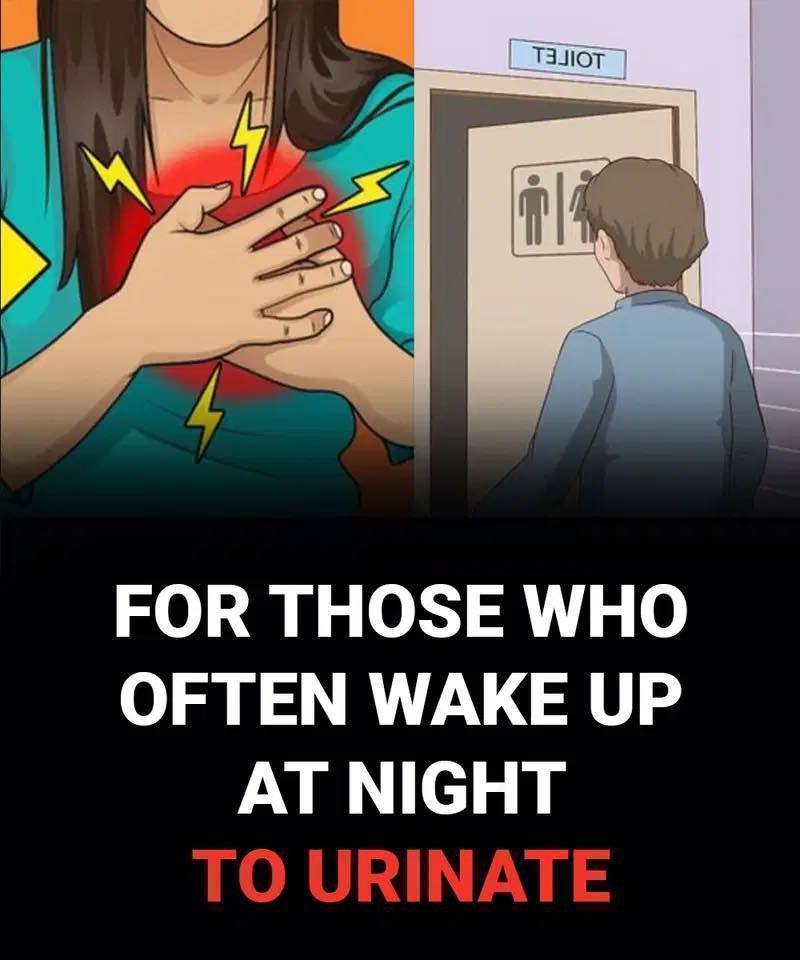 For Those Who Often Wake Up at Night to Urinate