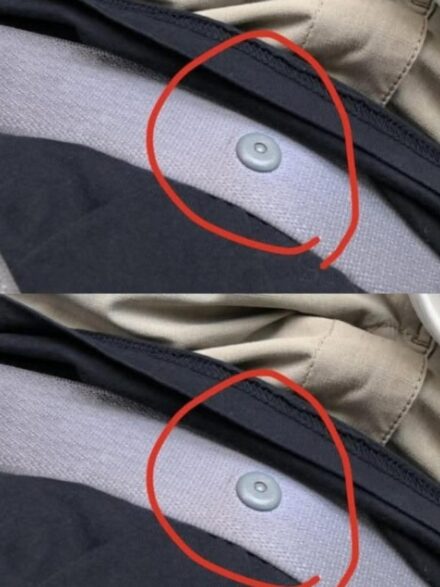 What the Little Button on Your Seat Belt Really Does – A Tiny Feature With a Big Purpose ✨