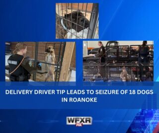 Delivery driver tip leads to seizure of 18 dogs in Roanoke