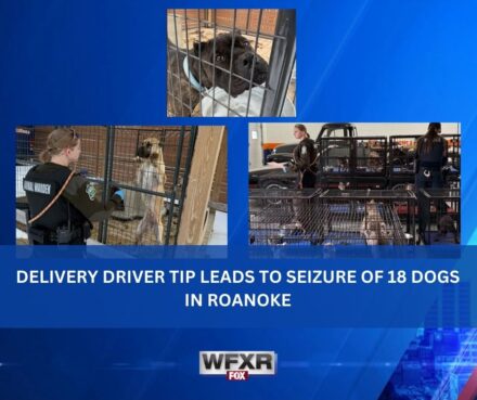 Delivery driver tip leads to seizure of 18 dogs in Roanoke