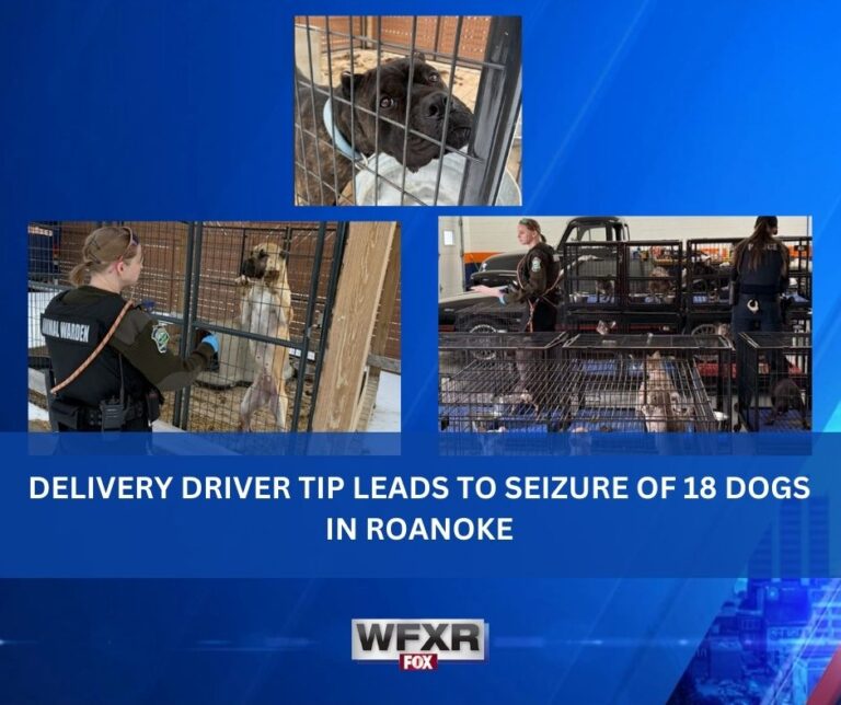 Delivery driver tip leads to seizure of 18 dogs in Roanoke