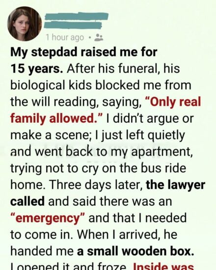 I Was Asked to Leave My Stepfather’s Will Reading. Three Days Later, a Phone Call Changed Everything I Thought I Knew