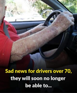 Sad news for drivers over 70, they will soon no longer be able to…