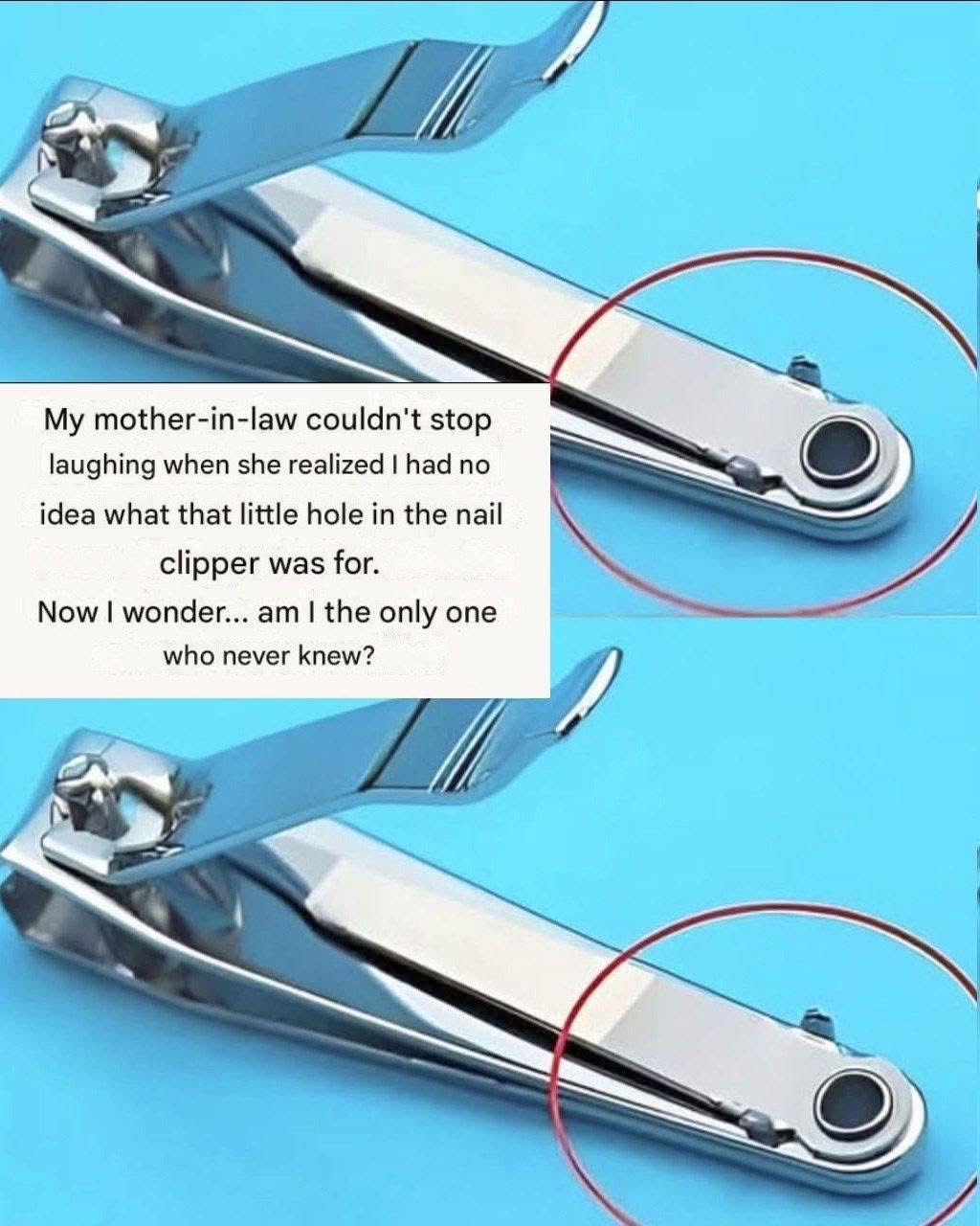 What is the forebar on the nail clip? Here is its use and its advantages