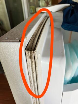 How to Clean Black Mold on Refrigerator Gasket in Minutes