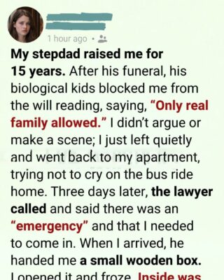 I Was Asked to Leave My Stepfather’s Will Reading. Three Days Later, a Phone Call Changed Everything I Thought I Knew