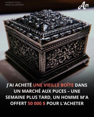J’ai acheté une vieille boîte dans un marché aux puces – Une semaine plus tard, un homme m’a offert 50 000 dollars pour l’avoir