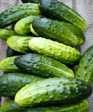 Why Nutrition Experts Say You Should Be Adding Cucumber to Your Plate Every Single Day