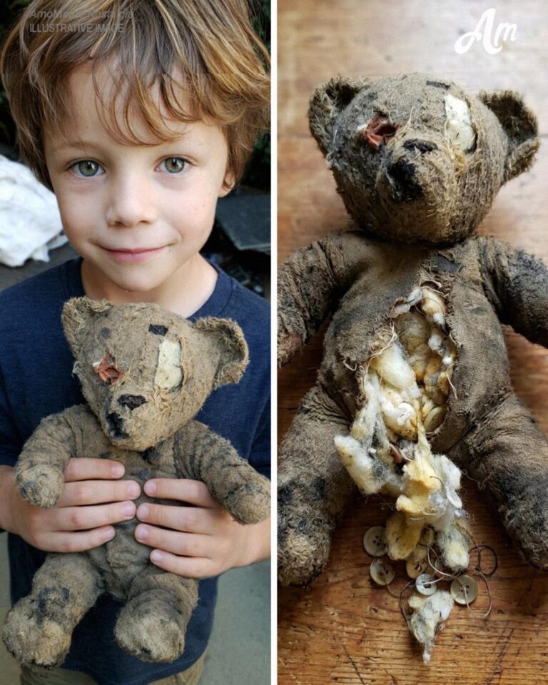 My Son Found a One-Eyed Teddy Bear in the Dirt – That Night, It Whispered His Name and Begged, ‘Help Me’