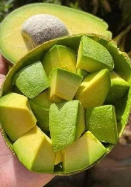 Doctors Reveal Avocado Consumption Causes… See more