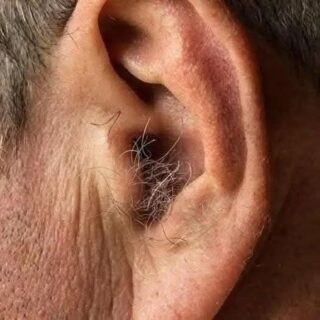 DID YOU KNOW? If hair grows on your ears, it’s because your body is……Check the Comments 👇