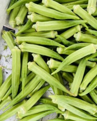 10 Amazing Benefits of Eating Okra (Lady’s Finger) for Your Health
