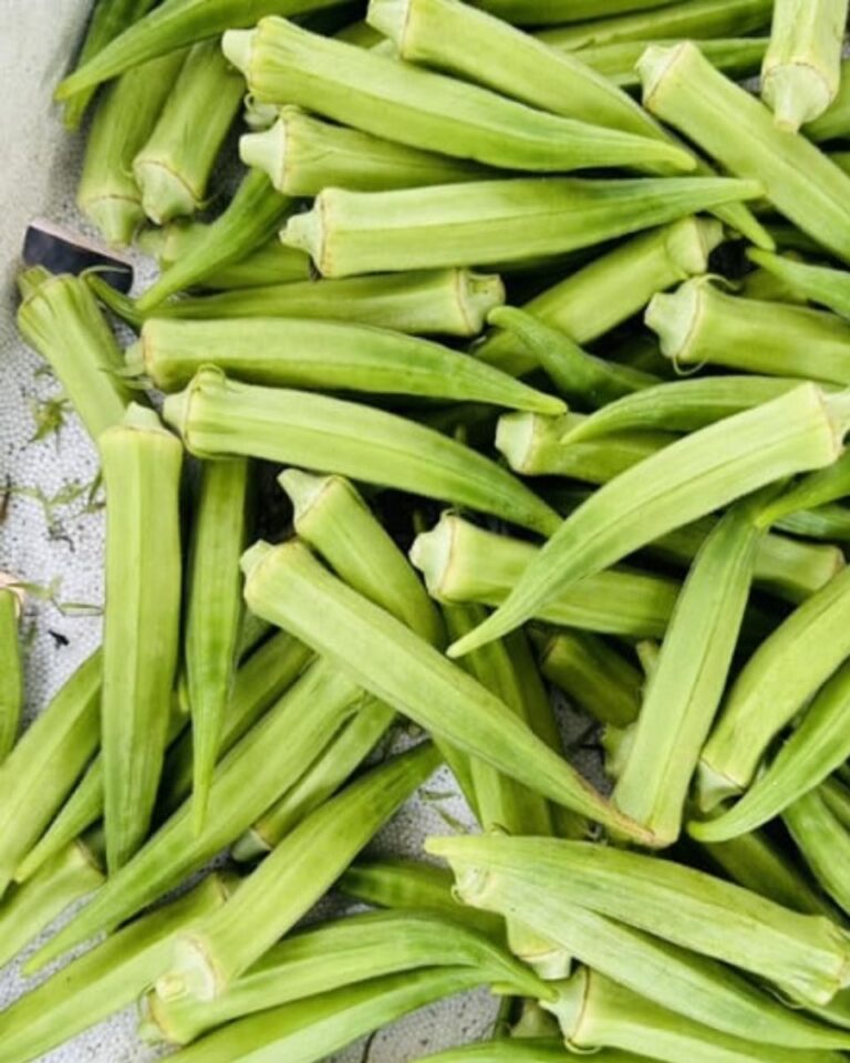 10 Amazing Benefits of Eating Okra (Lady’s Finger) for Your Health