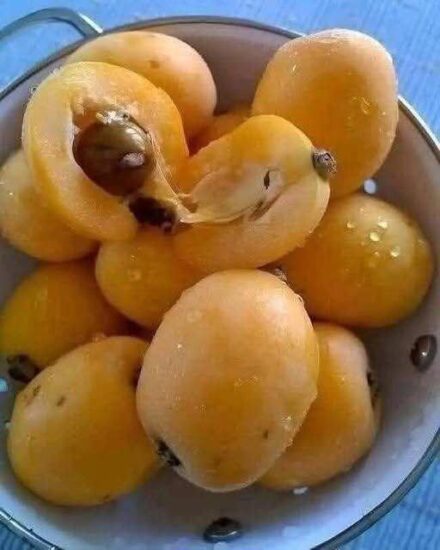I’ve been trying to remember the name of this fruit my whole life