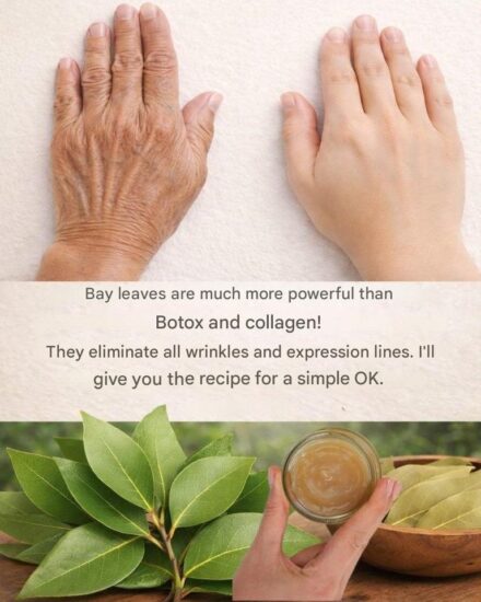 Bay Leaves for Skin Care